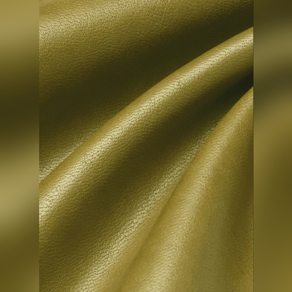 Wilfred: Melina vegan leather pant, NWT, Avocado 🥑, Aritzia, size 4 - Picture 7 of 7